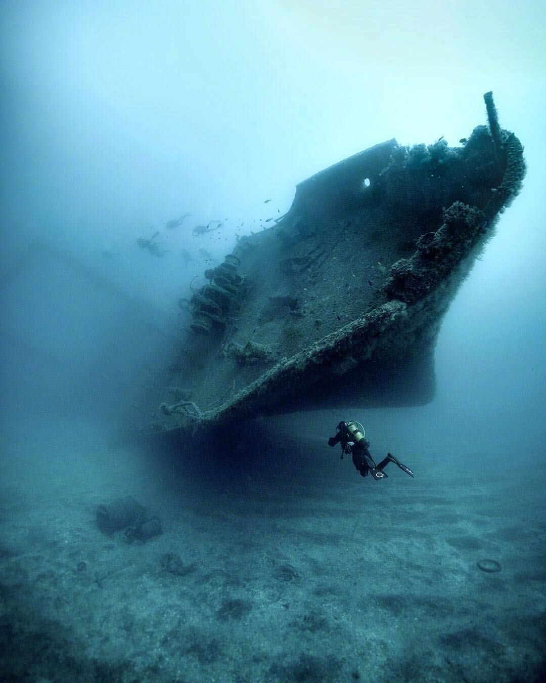 深海恐惧症图片超清图片