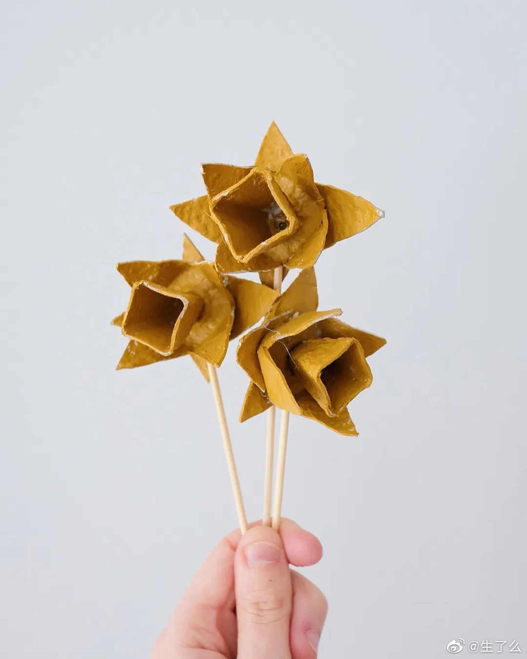 装鸡蛋的盒子做的装饰品手工diy鸡蛋盒
