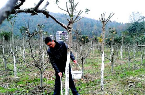 石灰水是什么（石灰水是什么颜色的）-85模板网