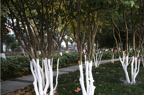 石灰水是什么（石灰水是什么颜色的）-85模板网