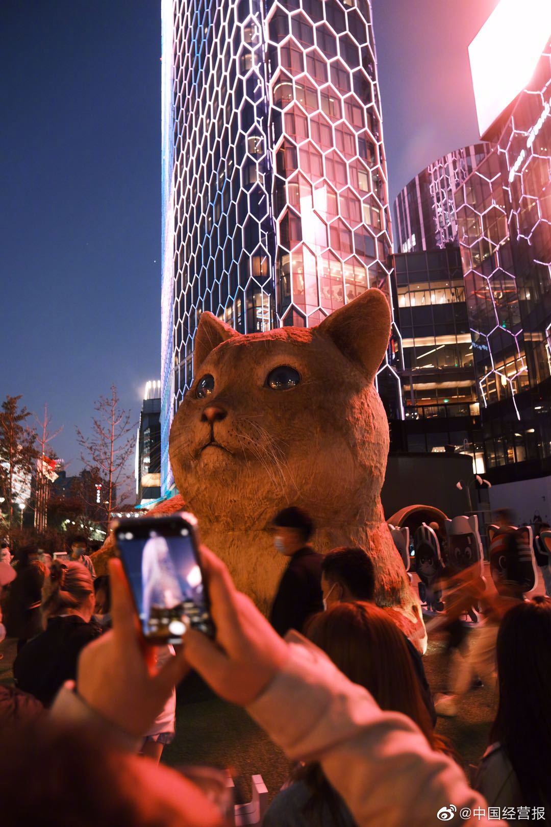 网红地北京三里屯新增打卡地,一只憨态可掬的巨型猫咪现身卖萌
