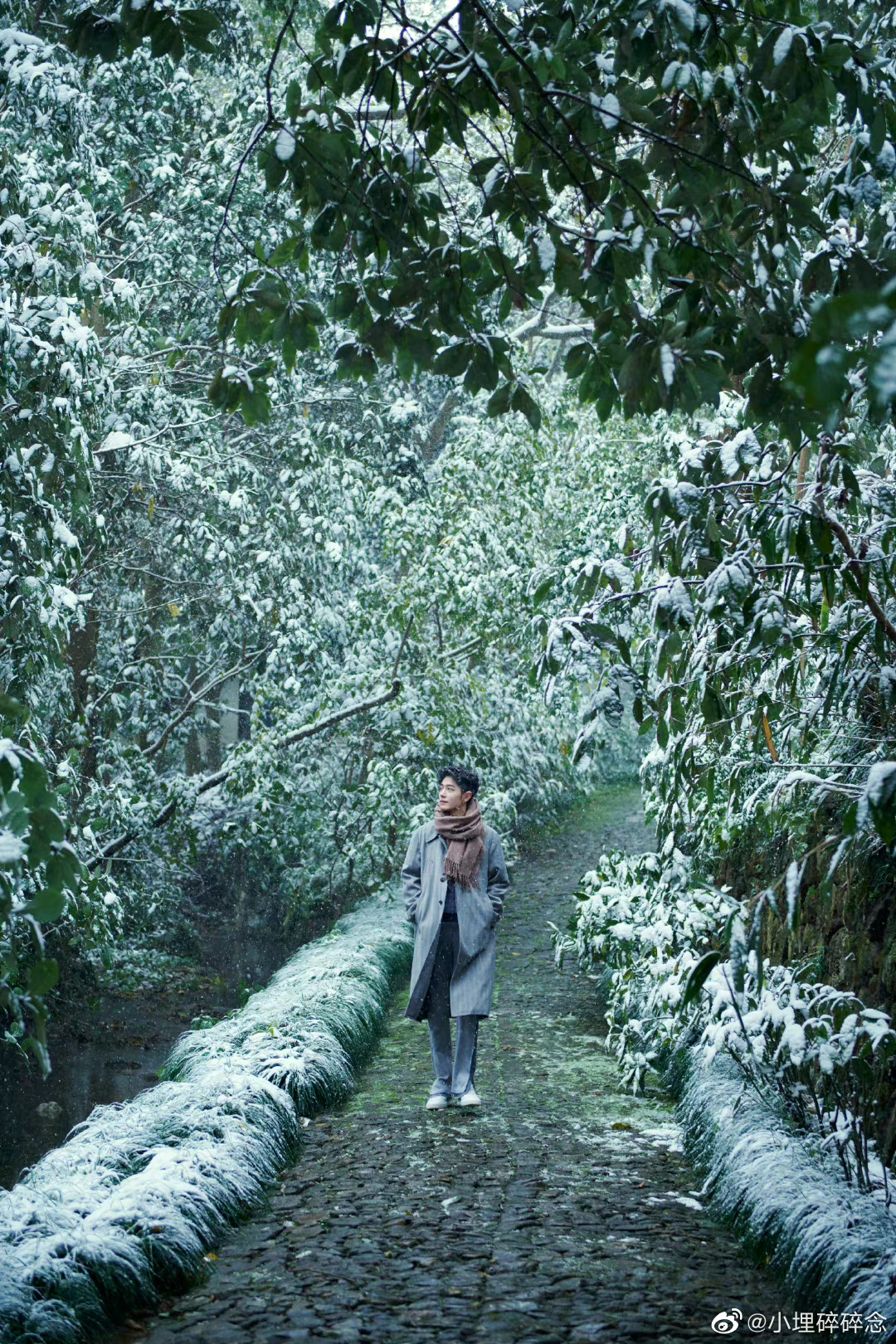 冬季下雪雪景高清图片下载-正版图片500777422-摄图网