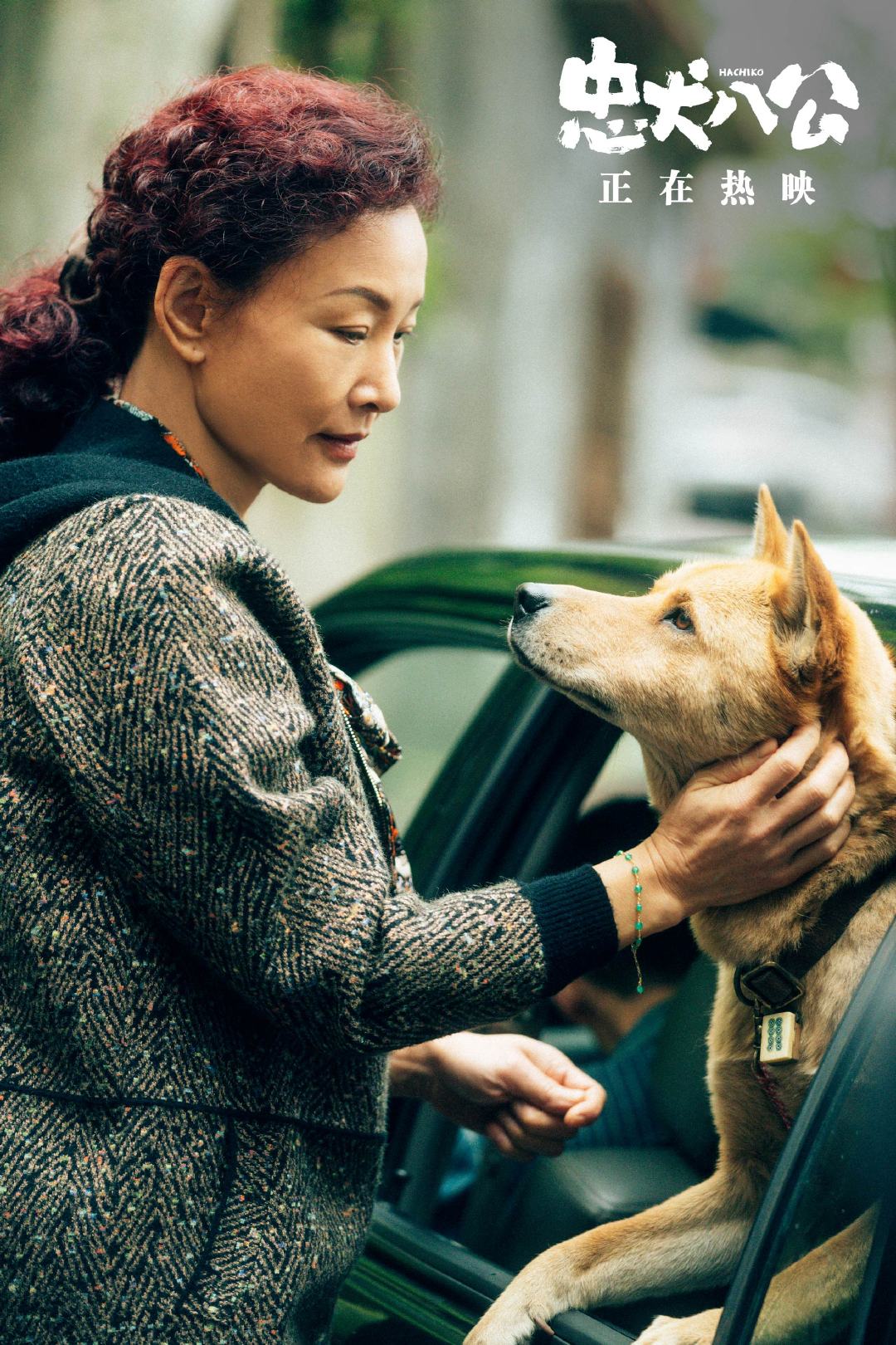 电影《忠犬八公》今日感动献映 五大看点揭秘“重磅情感炸弹”|忠犬八公|狗狗|看点_新浪新闻
