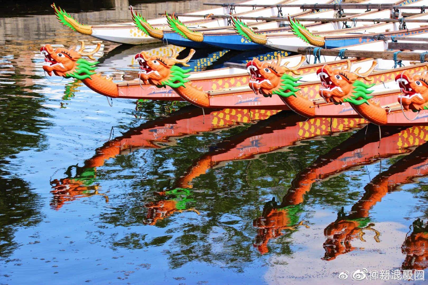 网络中国节·端午 厦门市民打卡集美龙舟文化节