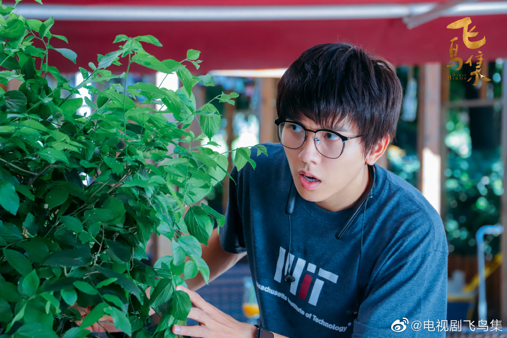 呦~(柴晴落寞委屈屈)@徐璐lulu @邱赫南 @文生 @演员丁冠中 @向辰chen