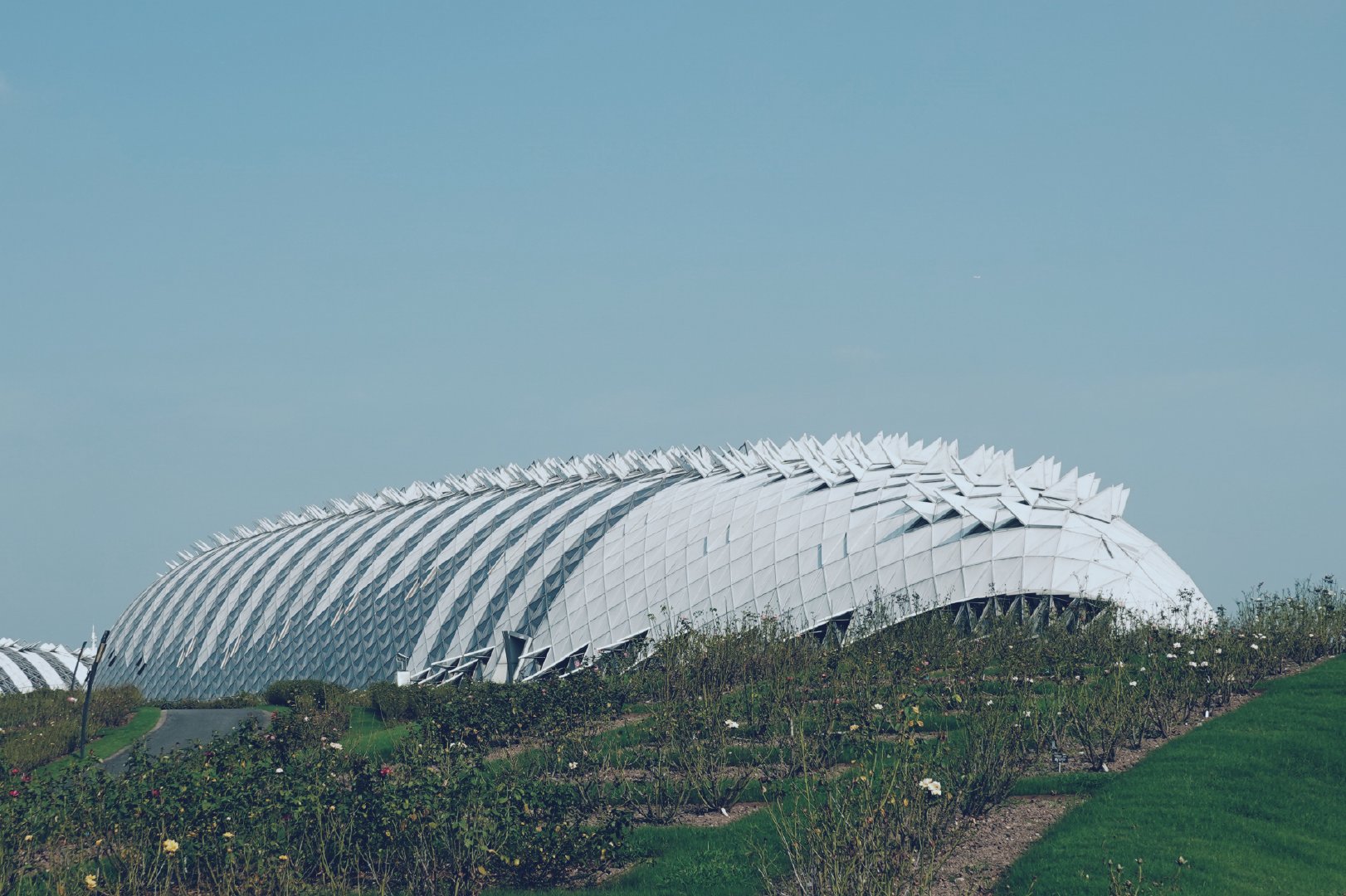 在整理照片,辰山植物园的温室大棚,真是巨帅!_高清图集_新浪网