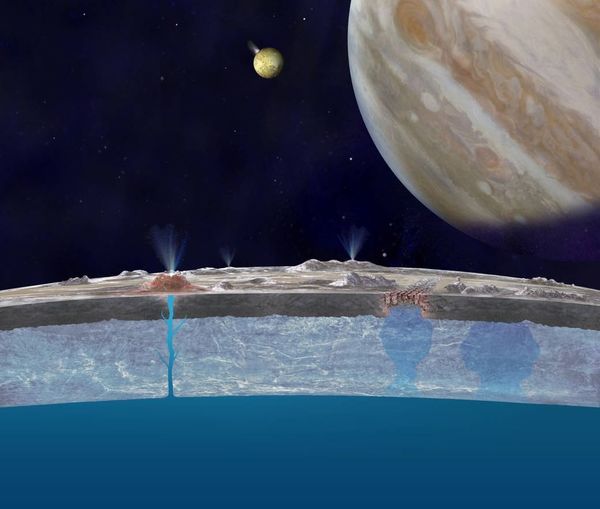 木卫二|木星|木卫_新浪新闻