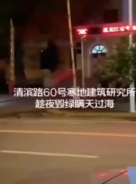 私自 改良 路边花坛 还移走了景观树 谁干的