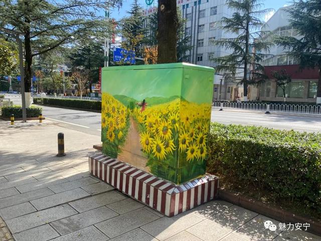 安宁把配电箱变成街头"艺术品"|彩绘|配电箱|中华路_新浪新闻