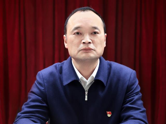 王新宇同志任大通湖区区委委员区委书记