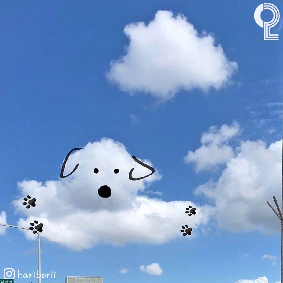 超可爱的狗狗云朵转发我也能有狗