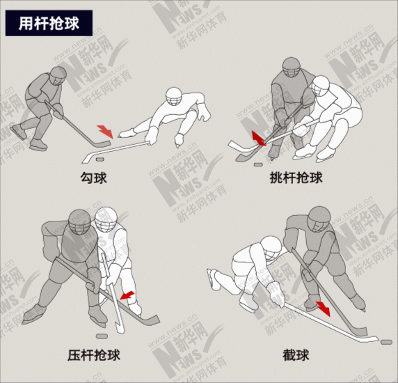 图解北京冬奥项目⑥——冰球,激烈对抗的冰上曲棍球|冰球|球杆|守门员