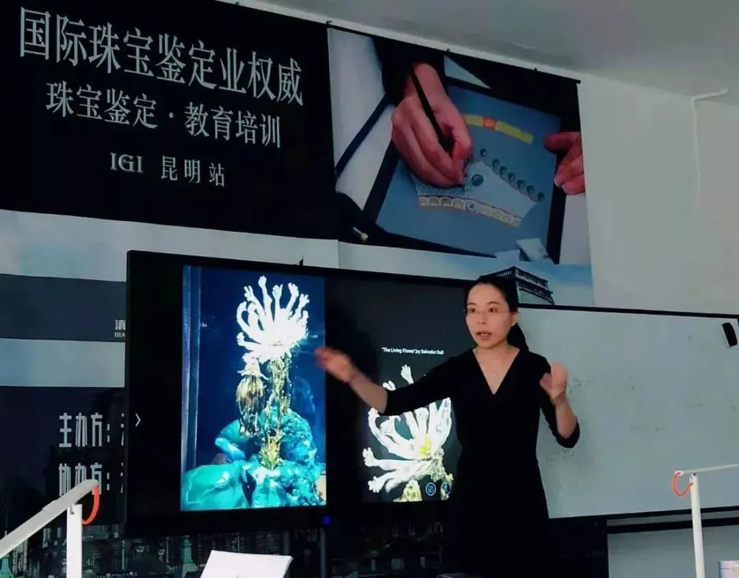 回顾2018中国昆明igi珠宝设计课程第一阶段