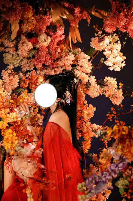 古月|写真|古装_新浪新闻