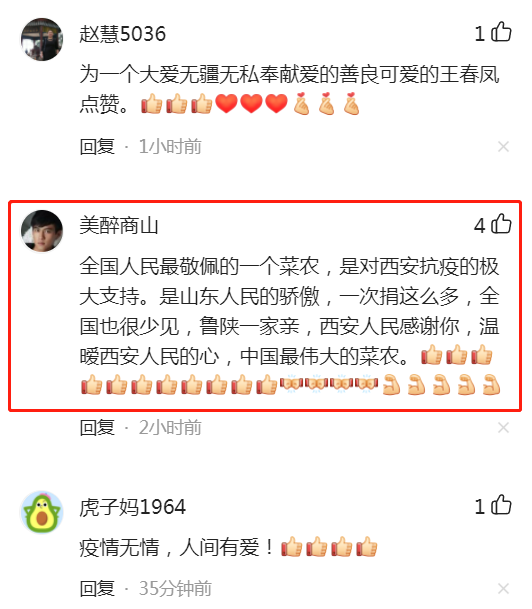 山东村民捐10万斤蔬菜援驰西安：觉得有意义，现西安已吃到大白菜休闲区蓝鸢梦想 - Www.slyday.coM