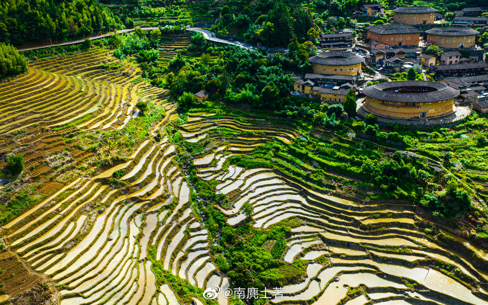 去拍过很多梯田,第一次发现福建也有梯田,赶上放水插秧季……_高清
