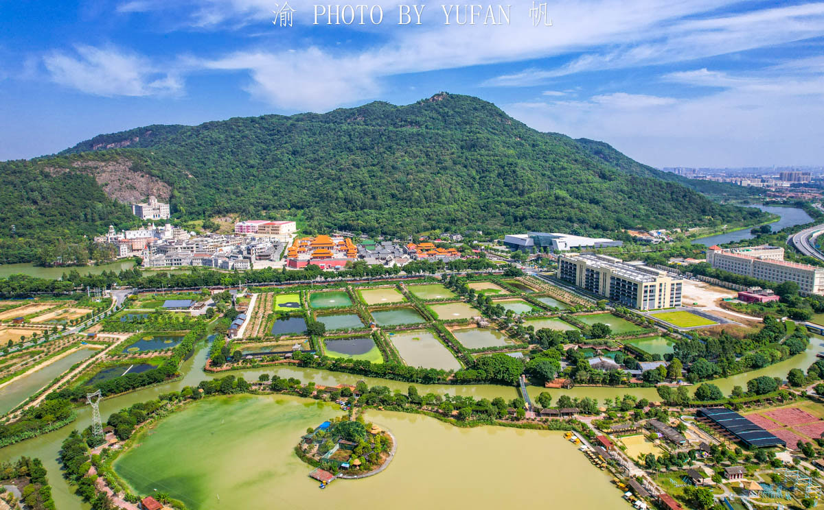 航拍西樵山下的桑基鱼塘,五颜六色如盐田,这才是真正的岭南水乡|南海|