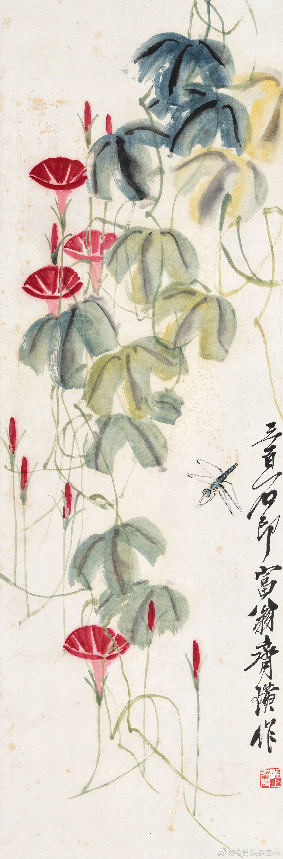 齐白石笔下的牵牛花
