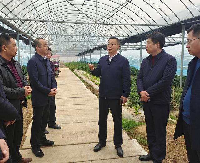 陈阁辉来汨调研乡村振兴工作|乡村|陈阁辉|大荆镇_新浪新闻