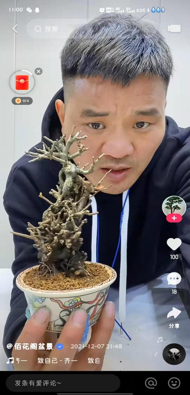 年收入翻了5 倍，直播间里的小盆景成了花农“摇钱树”休闲区蓝鸢梦想 - Www.slyday.coM