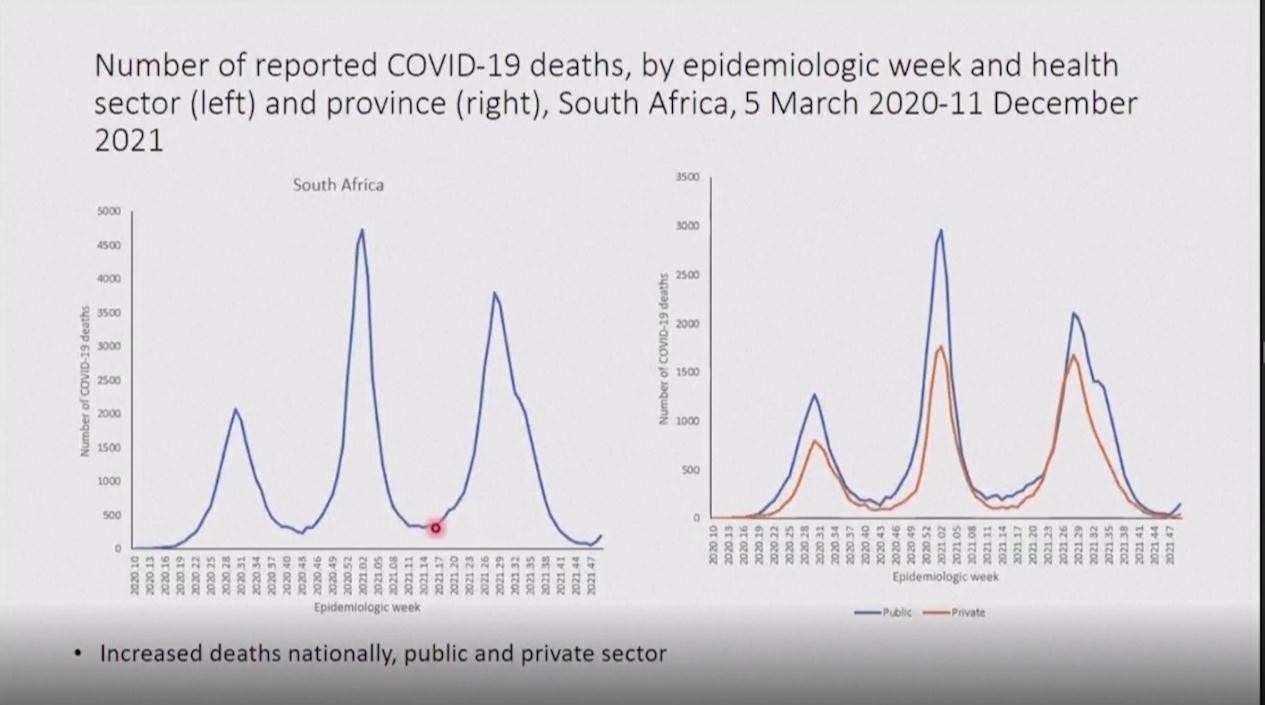南非：“奥密克戎”感染症状较轻或因公众已有免疫力休闲区蓝鸢梦想 - Www.slyday.coM