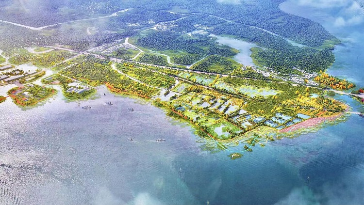 郊野花海,湿地风光,风景森林……元荡湖区呈现一派好风光