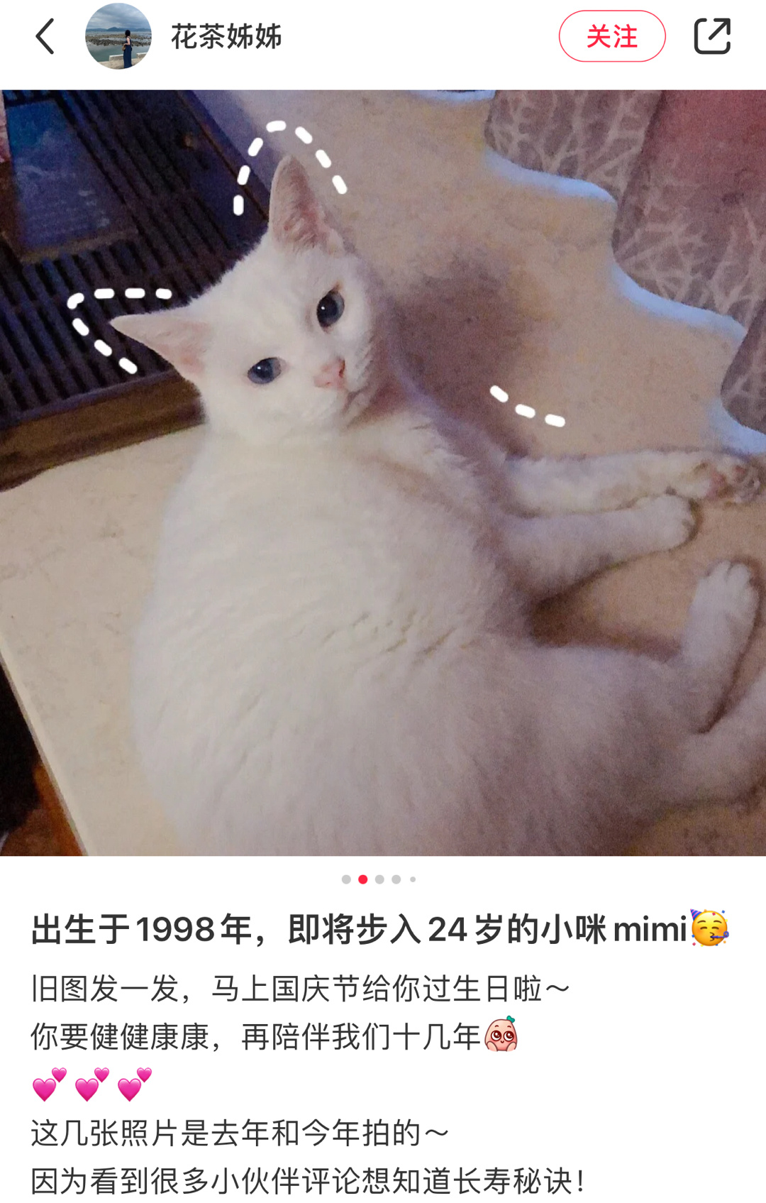 刷到好多长寿的猪咪们 从小baby 到老baby……__财经头条