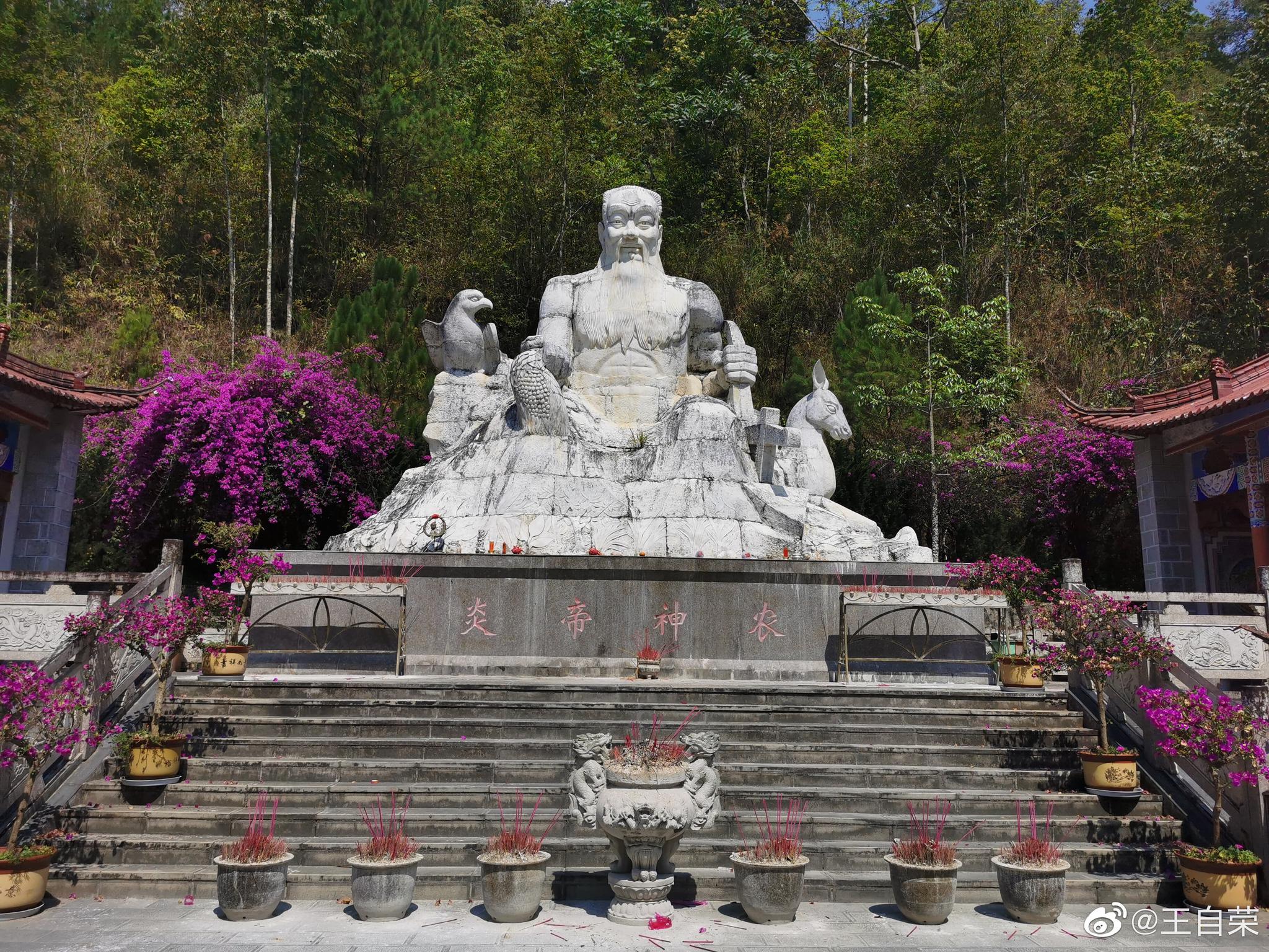 我也发微博了,来双江勐库神农祠.