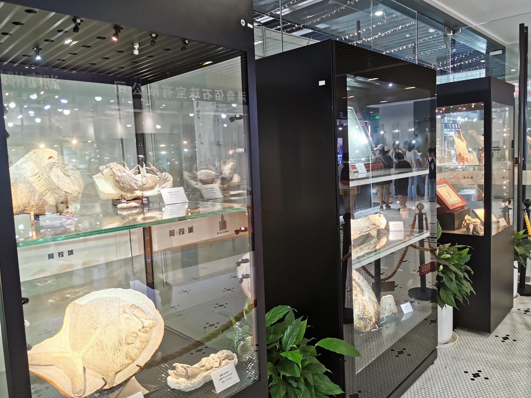 第21届上海矿物化石展正在虹桥阿拉城举行