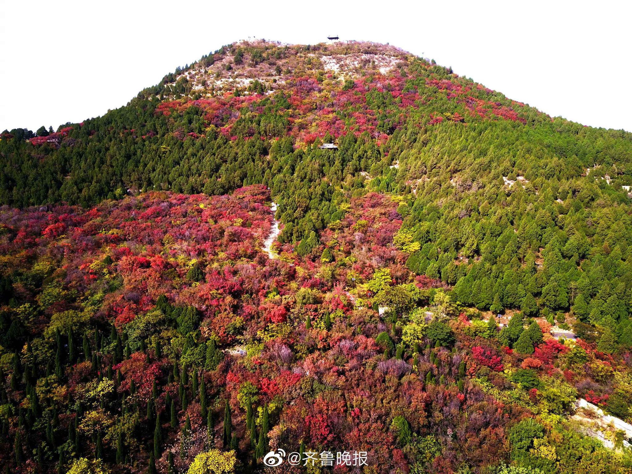 山东 一年中最美时刻!济南千佛山半山红透