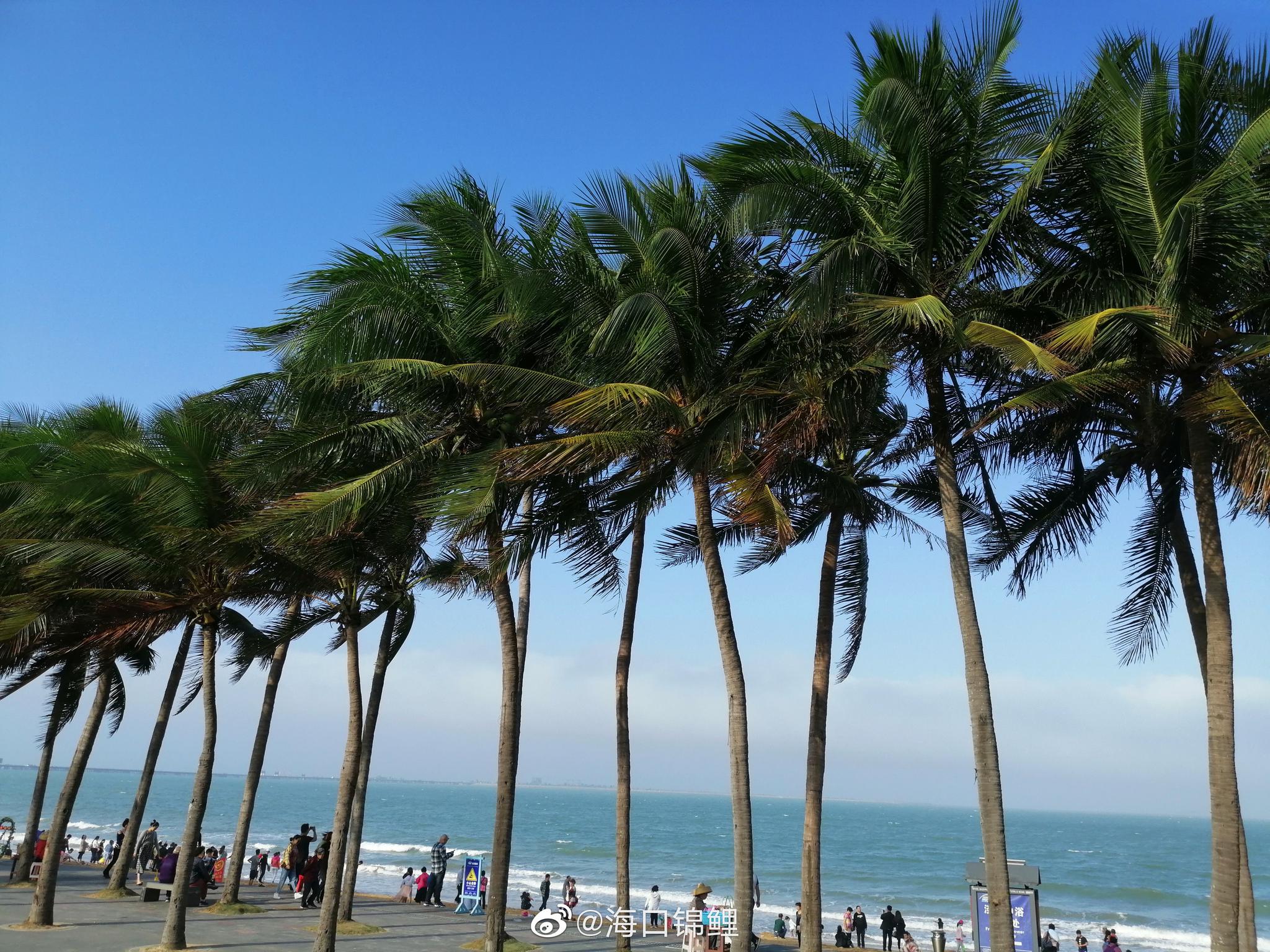 海口 海口假日海滩网红打卡地,这个冬季逛一逛|海南|海口|假日海滩