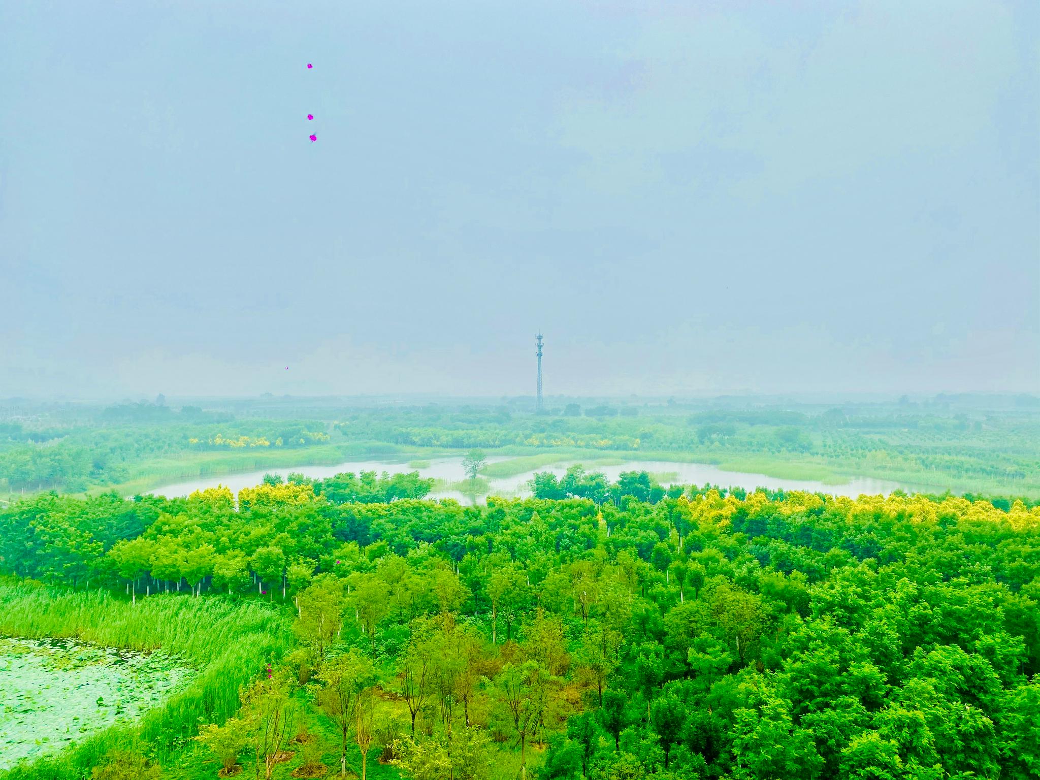 大v带你看天津第三天第一站:绿色生态屏障