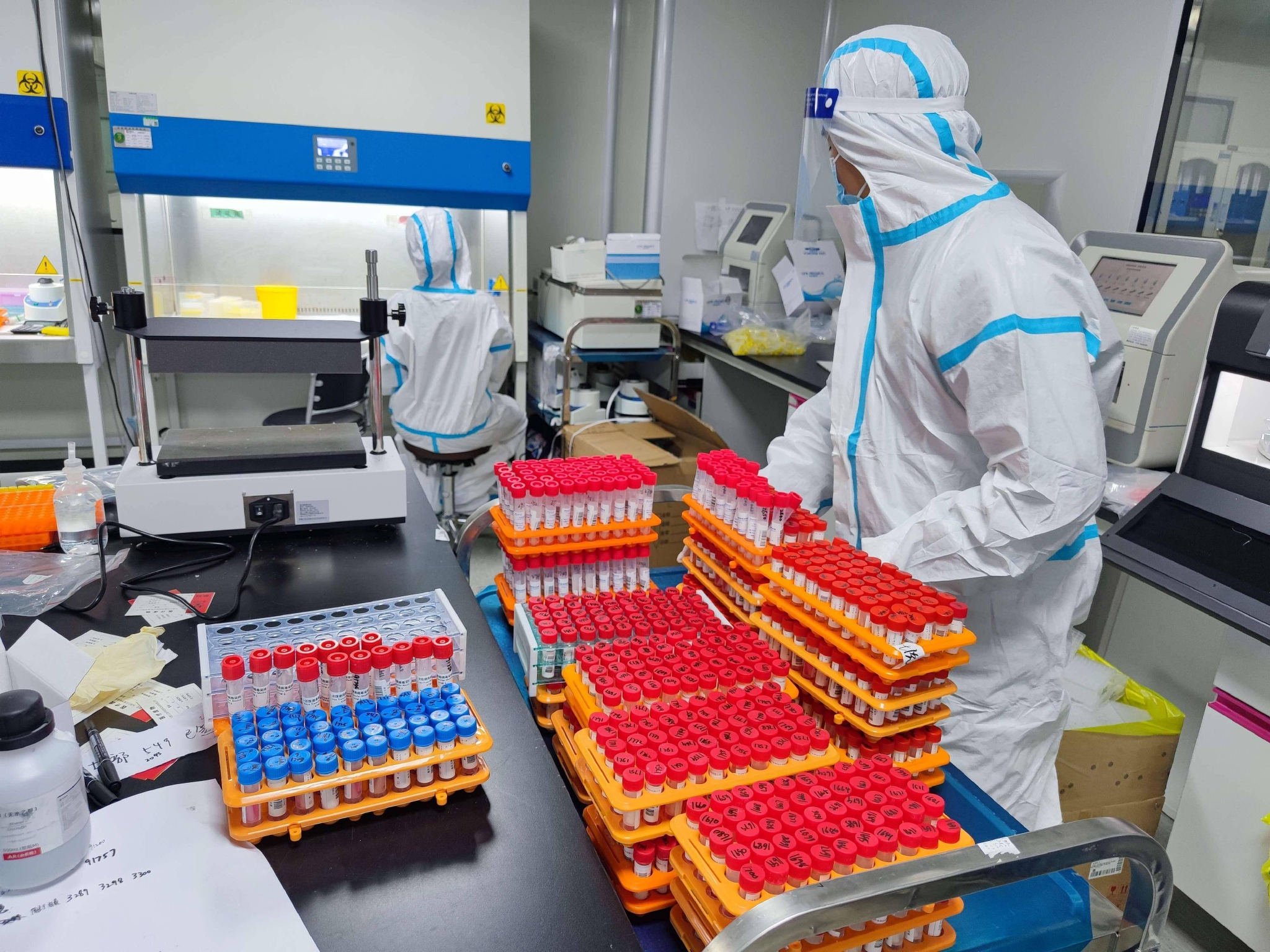 理想汽车今年销量怎么样