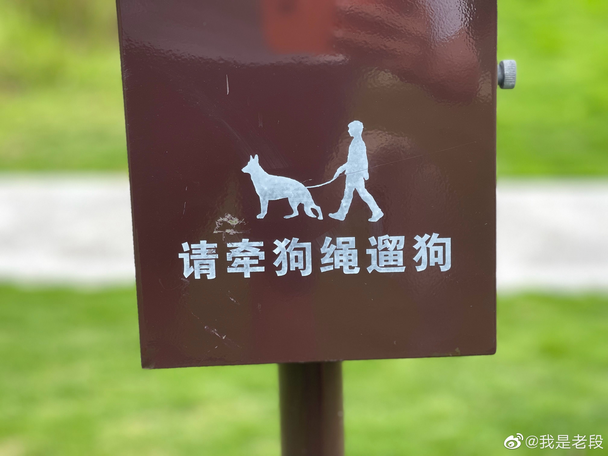 一个人牵着狗在城市室外奔跑插画图片素材_ID:388034189-Veer图库