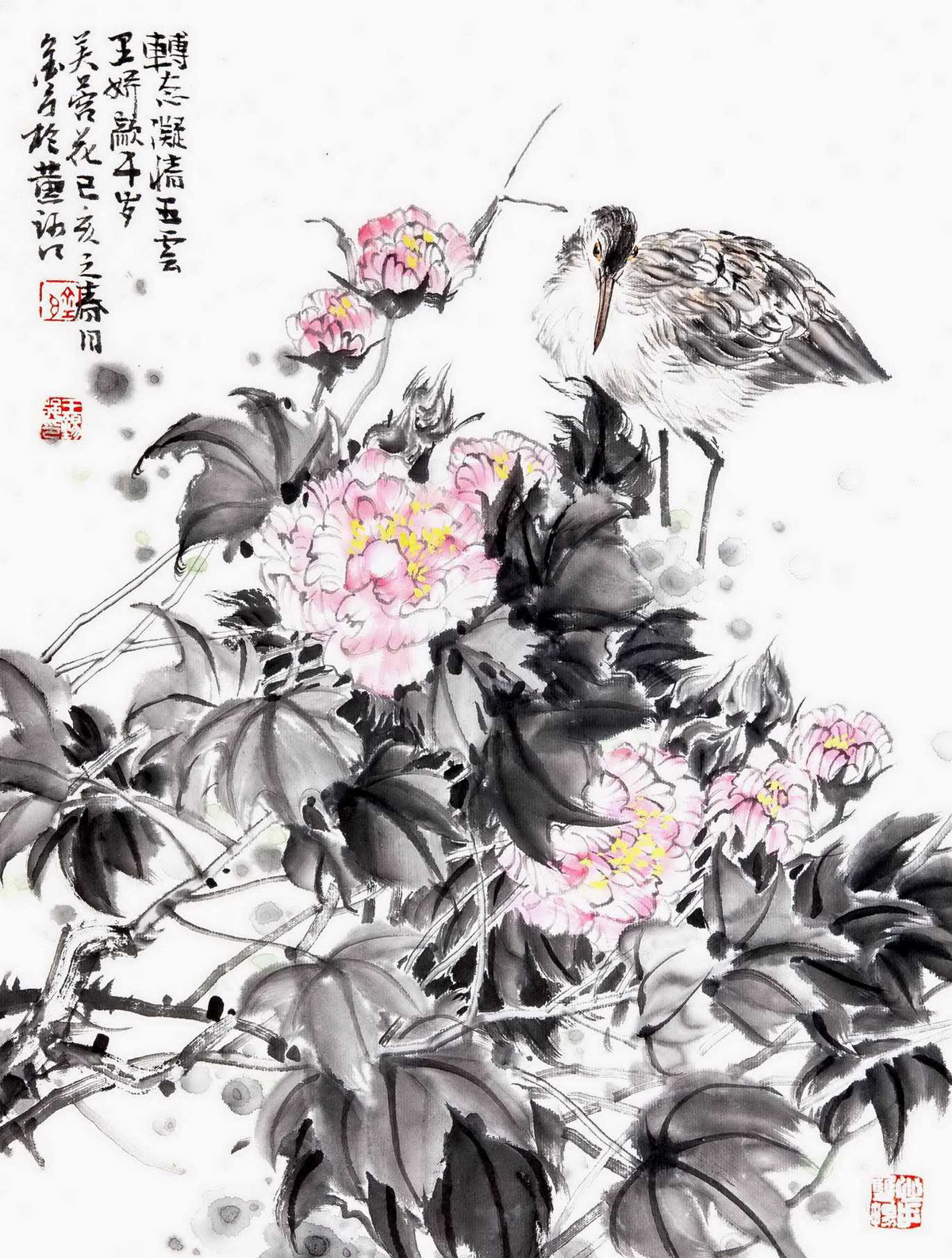 2020重点推荐艺术名家:王锡强|花鸟画|文人|中国画_新浪新闻