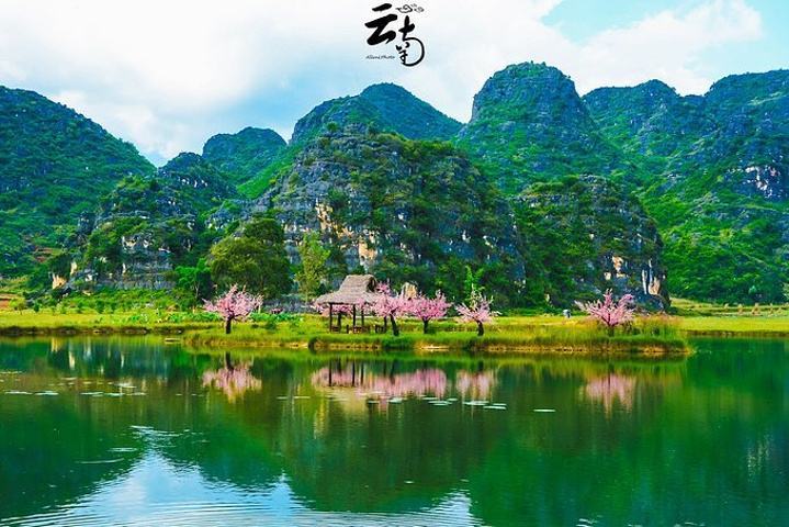 灼灼桃夭,十里芳华很多人对《三生三世十里桃花》漫山遍野的桃花仙境