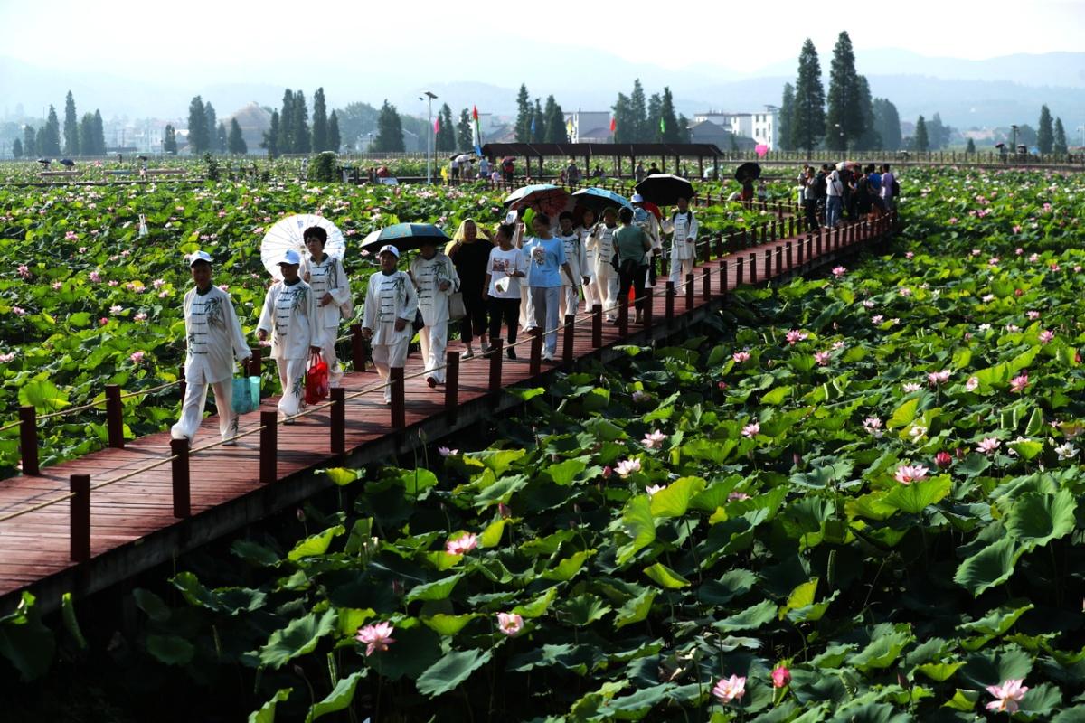 盛世莲花 荷你相约--2021年莲花县第十届莲文化旅游节开幕