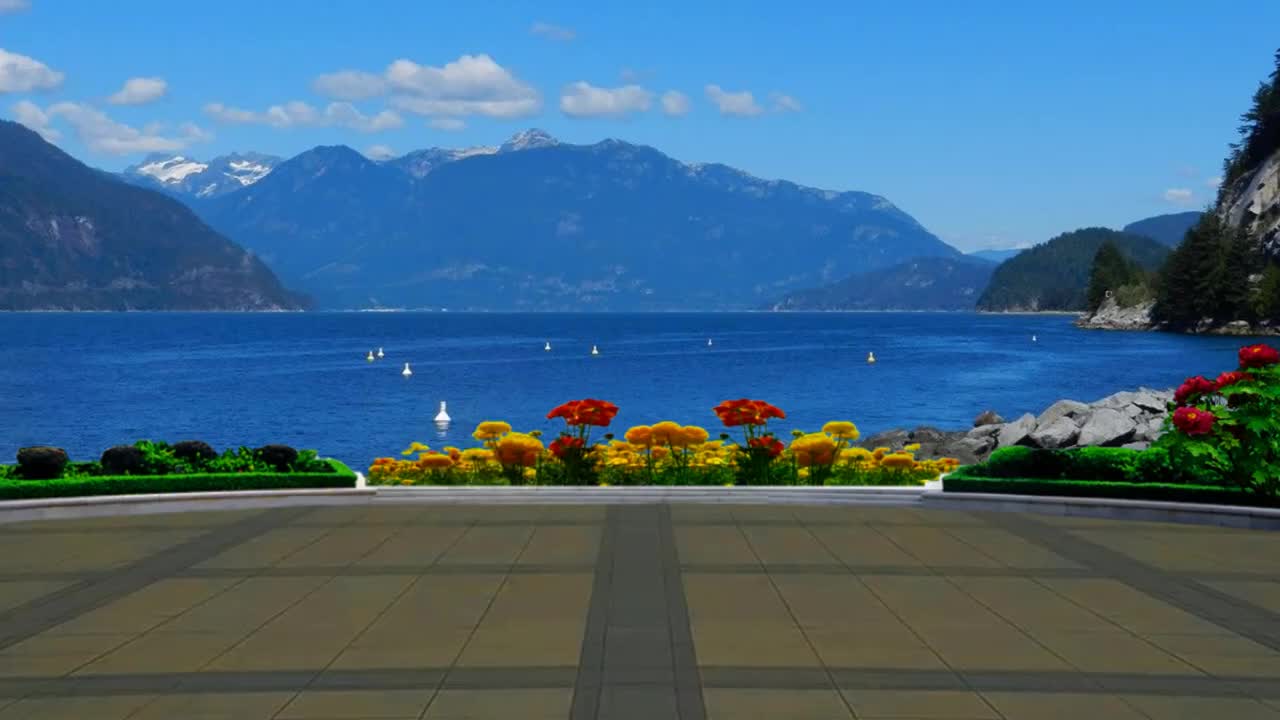 优美情歌广场舞情深似海除了你我谁都不爱今生今世不分开