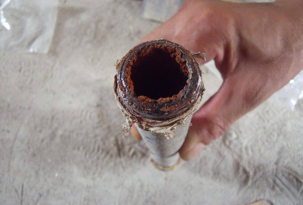 窒息!女子洗澡时虫子从花洒蠕动爬出,这是怎么回事?是啥虫子?休闲区蓝鸢梦想 - Www.slyday.coM 窒息!女子洗澡时虫子从花洒蠕动爬出,这是怎么回事?是啥虫子?休闲区蓝鸢梦想 - Www.slyday.coM