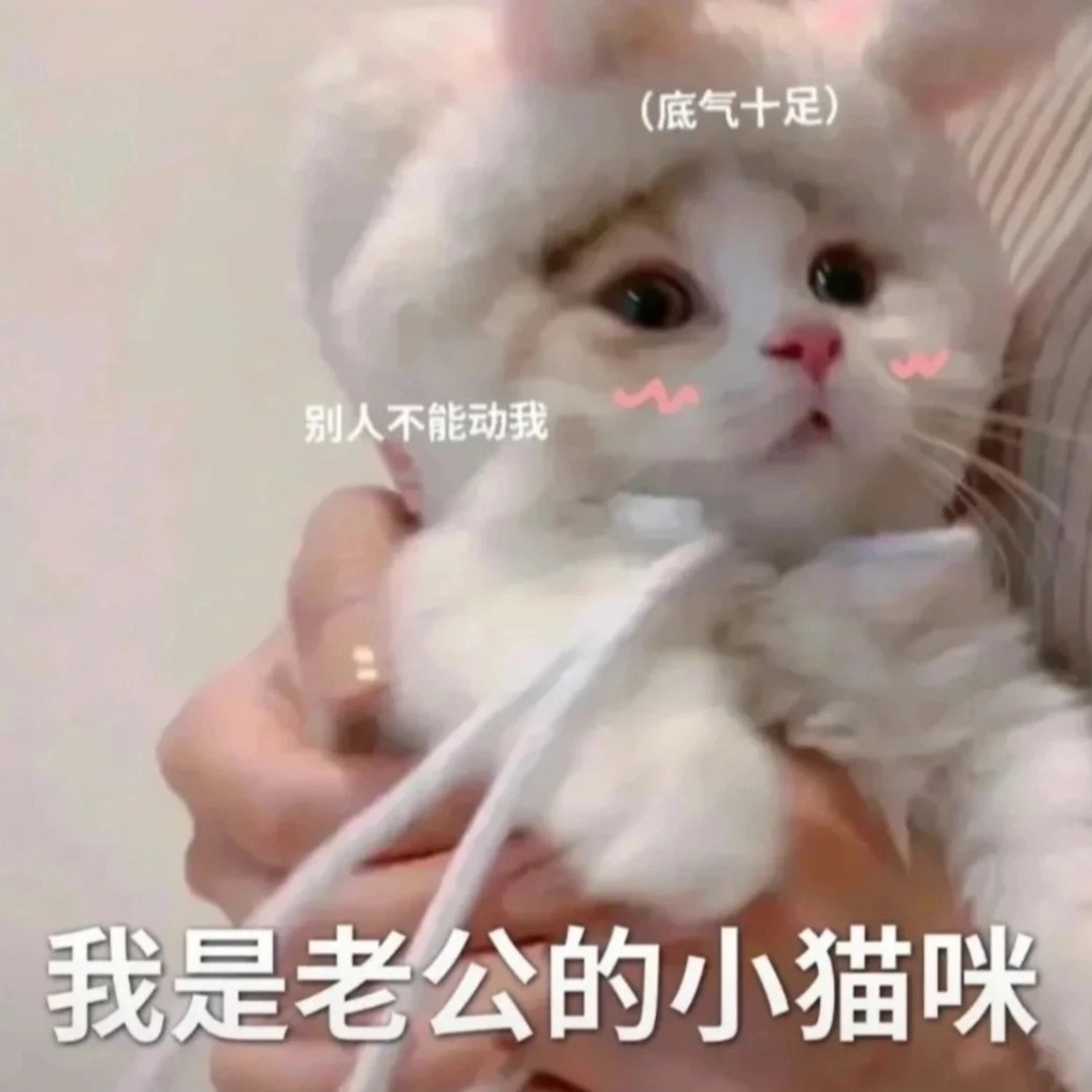 929598数字密码在聊天中的深层社交含义解读