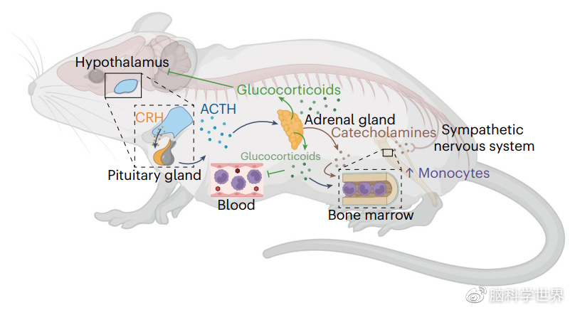 敏感老是反反复复,问了化妆品店的店员就说季节环境和用的东西,都不知道说的是不是真的?