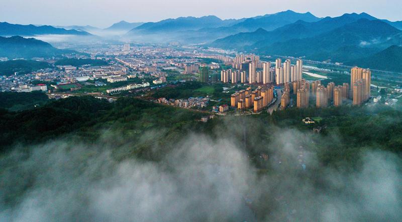 安徽东至:水清岸绿,百鸟齐聚|人民网|东至县|升金湖_新浪新闻