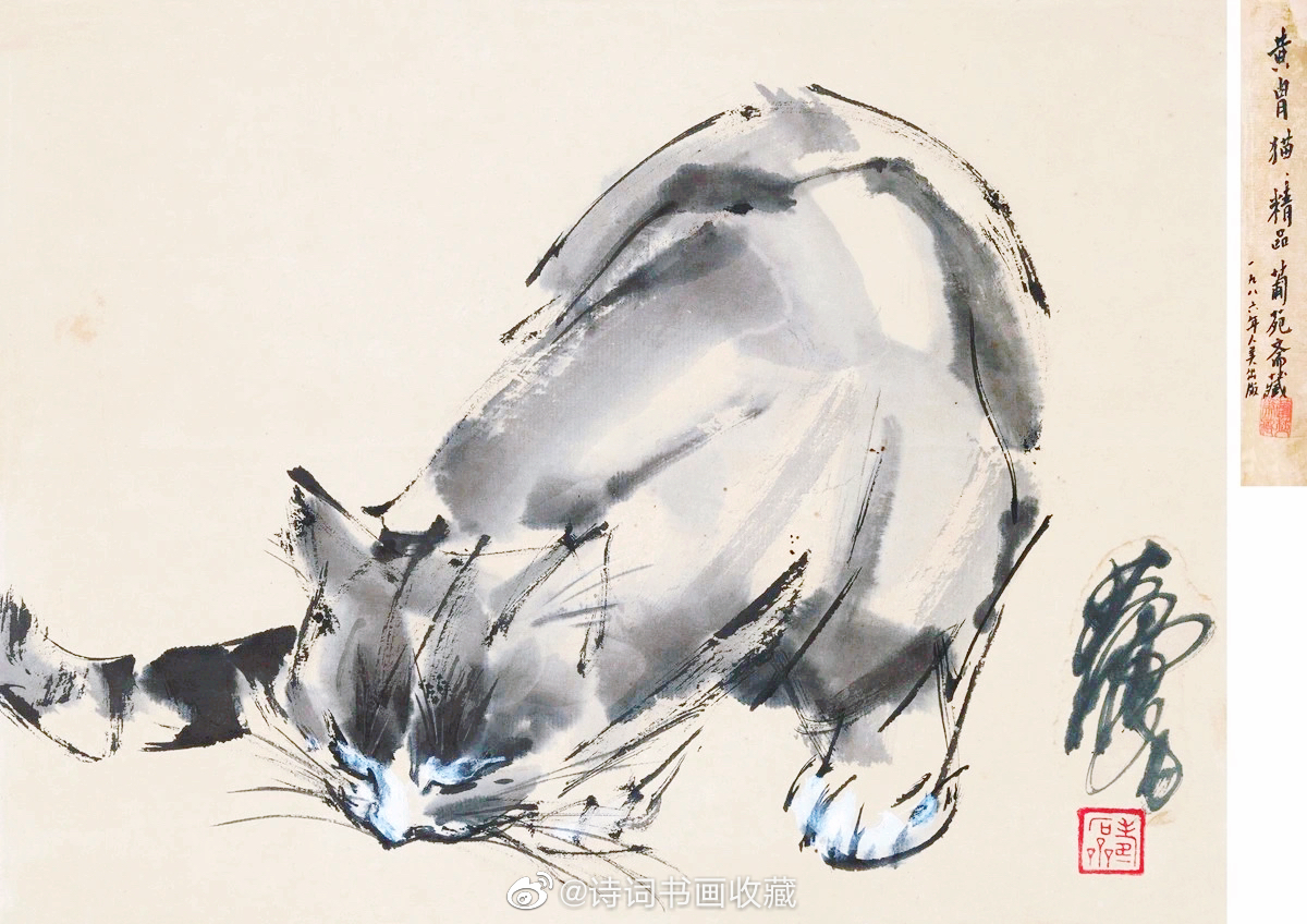黄胄画猫欣赏_高清图集_新浪网