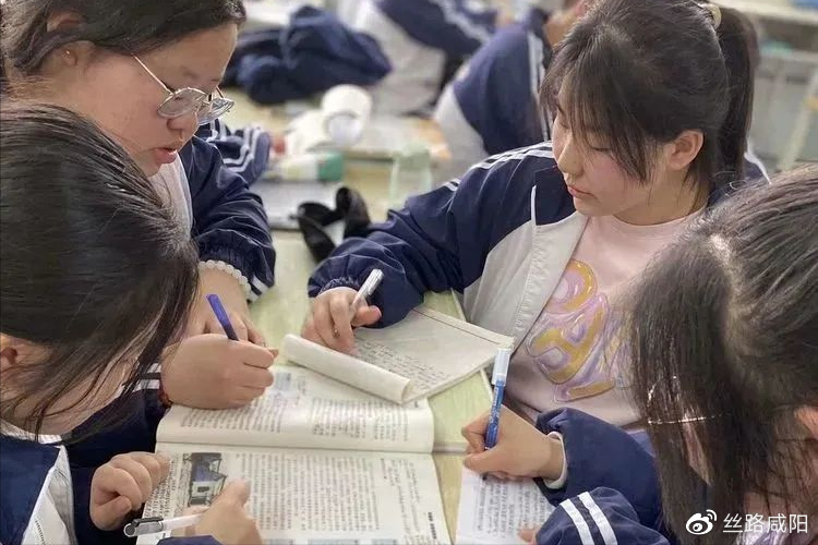 学习SEO需要哪些基础 SEO入门应该怎么做