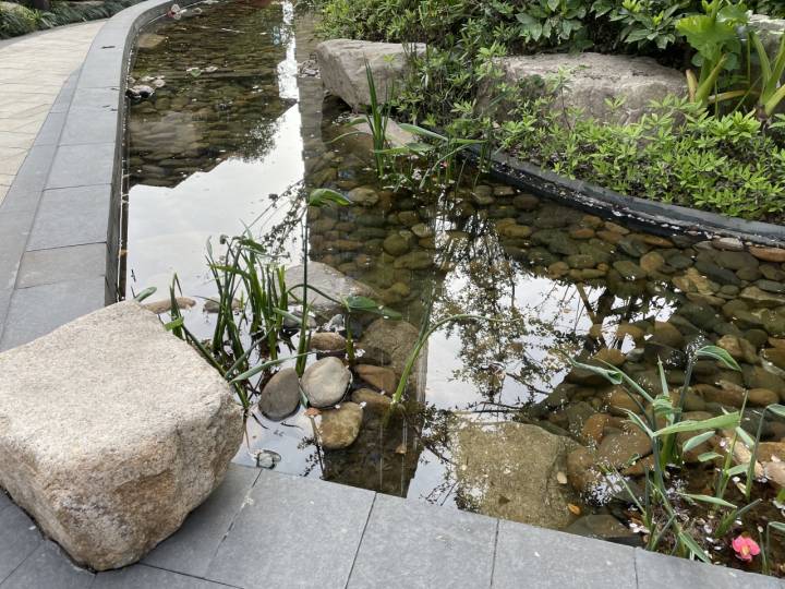 小区裸背拍照网红：为自己拍照行为影响孩子而道歉休闲区蓝鸢梦想 - Www.slyday.coM