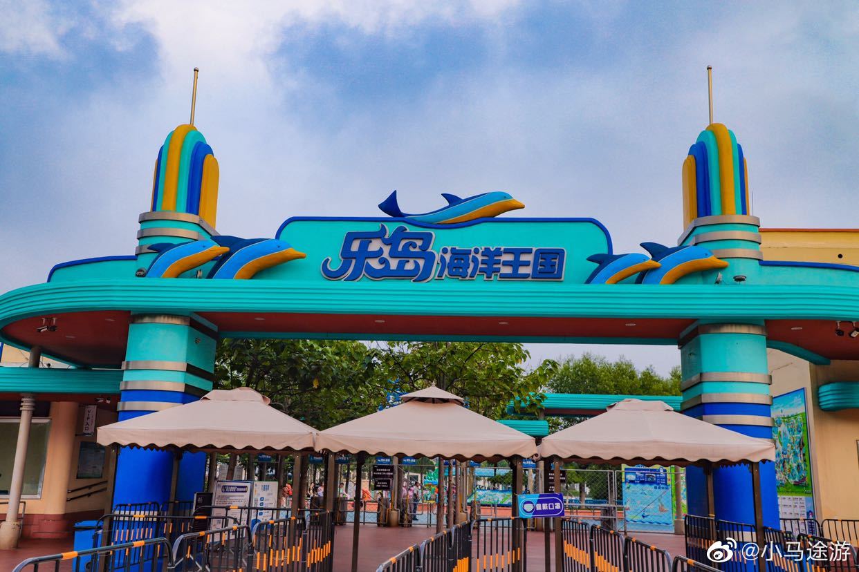 90|乐岛|乐岛海洋公园|白鲸_新浪新闻