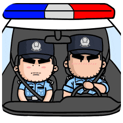 "春雷行动"重拳出击!|春雷|治安|社会治安_新浪新闻