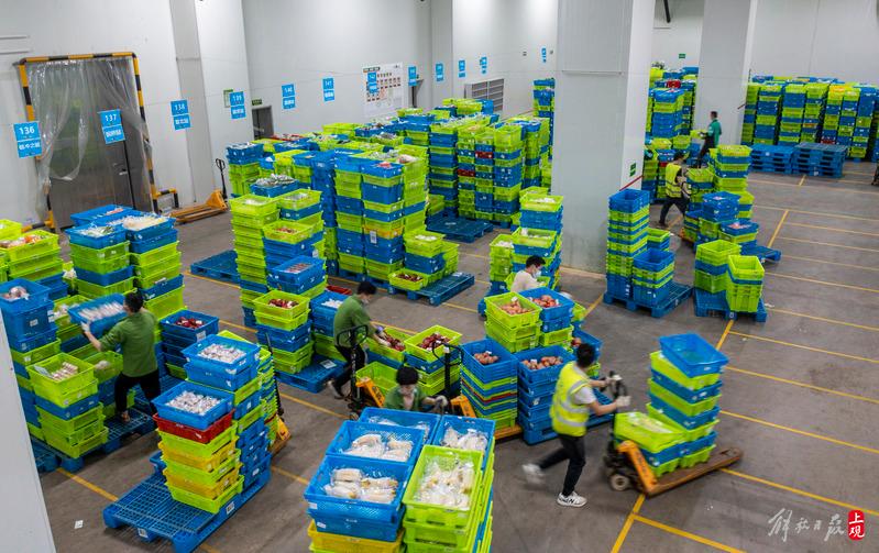 松江生鲜电商仓库日均处理超75万件分拣小哥凌晨忙到飞起