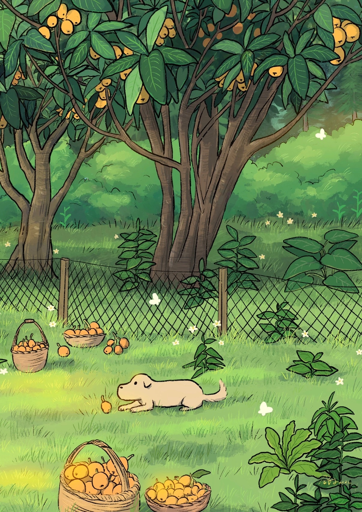 治愈系插画分享