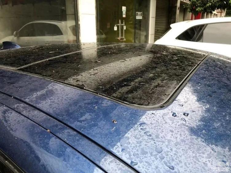 作为宝马车主你对养护车子认真吗?亲自动手做保养,及时清理树胶